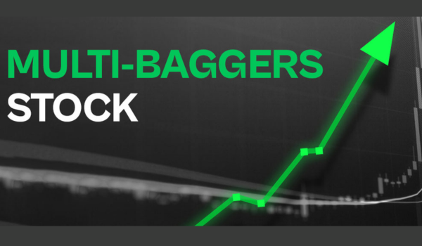What are Multibagger Stocks? Big profit in less money